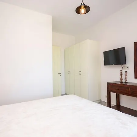 Aerides فيلة Agios Arsenios