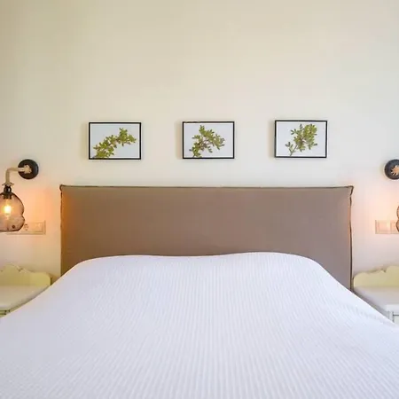 Aerides Villa *