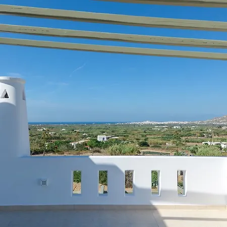 فيلة Aerides Agios Arsenios