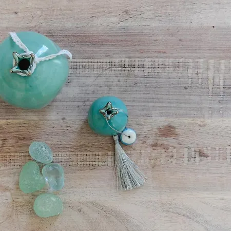 فيلة Aerides Agios Arsenios