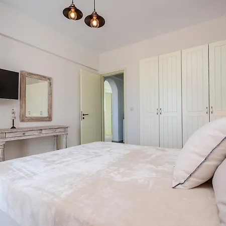 Aerides فيلة Agios Arsenios