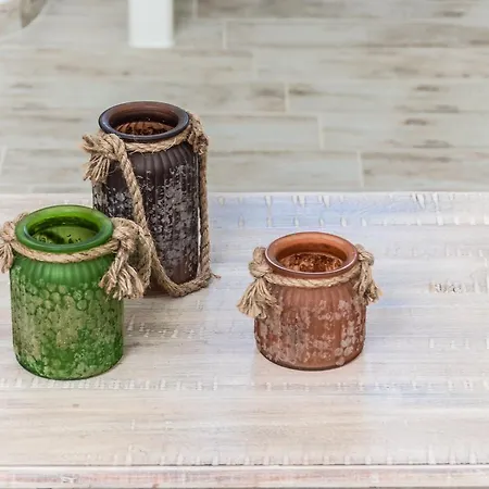 Aerides فيلة Agios Arsenios