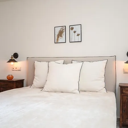 Aerides فيلة Agios Arsenios